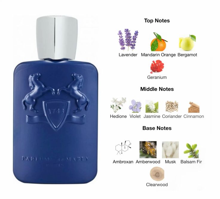 Parfums de Marly Layton - Outlet