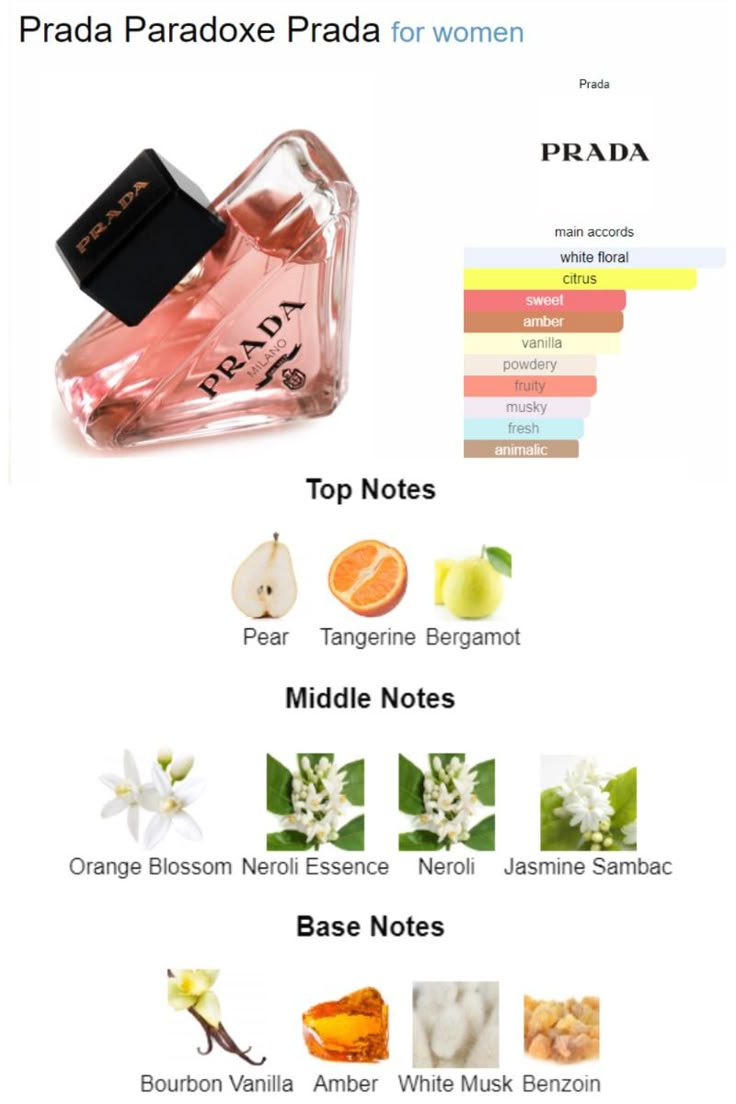 Prada Paradoxe – Master Box
